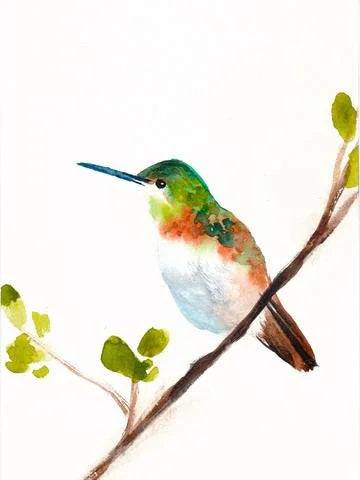 Lámina de colibrí – Arte de pared de naturaleza de archivo