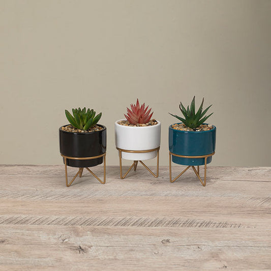 Potted Succulent on Metal Stand - - Tampa Home & Garden Store