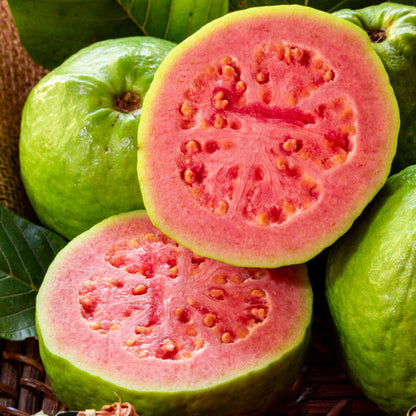 Ruby Supreme Guava Tree fruit halves with pink flesh and yellow seeds, green rind on Tampa Home & Garden Store