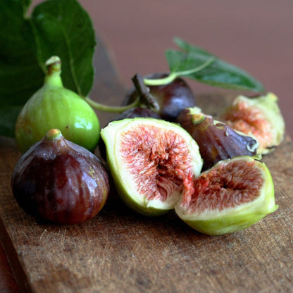 Little Miss Figgy plant green and purple figs sliced to reveal interior on Tampa Home & Garden Store