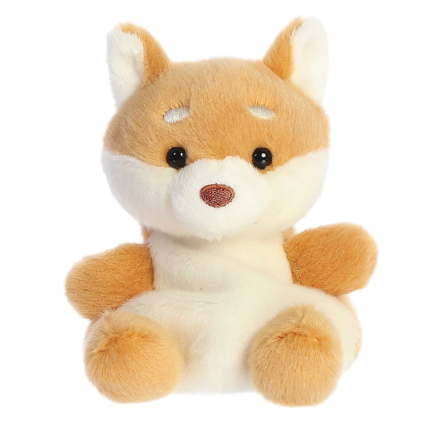Keiko Shiba Inu Palmier