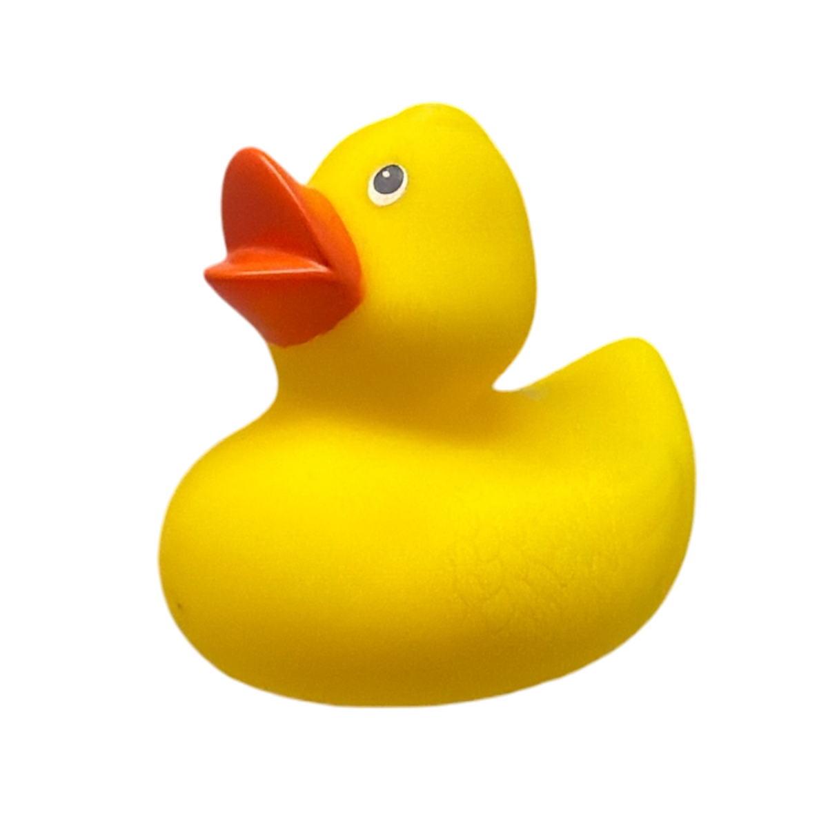 Lil Yellow Duck Bath Toy for Pool Fun yellow rubber duck floating toy Country Christmas Loft on Tampa Home & Garden Store
