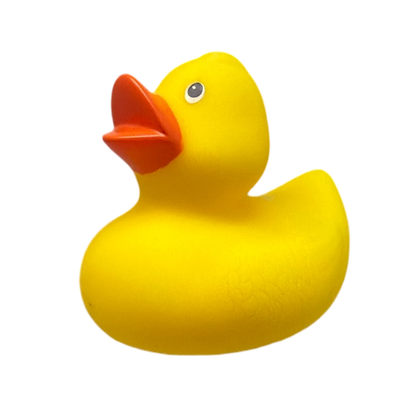 Lil Yellow Duck Bath Toy for Pool Fun yellow rubber duck floating toy Country Christmas Loft on Tampa Home & Garden Store