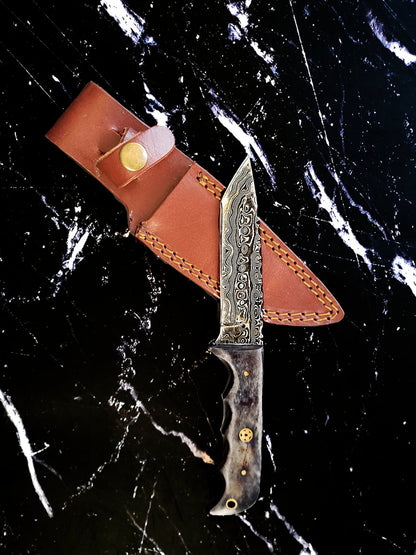 Titan Cavalry Damascus steel tanto EDC knife with patterned blade and dark horn handle on Tampa Home & Garden Store