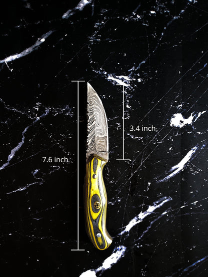 Damascus steel knife Titan Intl K with yellow/black handle, 3.4 in blade, 7.6 in overall length on Tampa Home & Garden Store