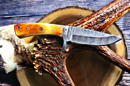 Damascus steel fixed blade hunting knife with drop point and orange-bone handle Titan TD-077 on Tampa Home & Garden Store
