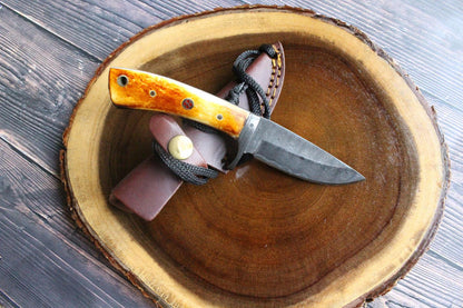 Damascus fixed blade hunting knife TD-077 with amber bone handle leather sheath on Tampa Home & Garden Store