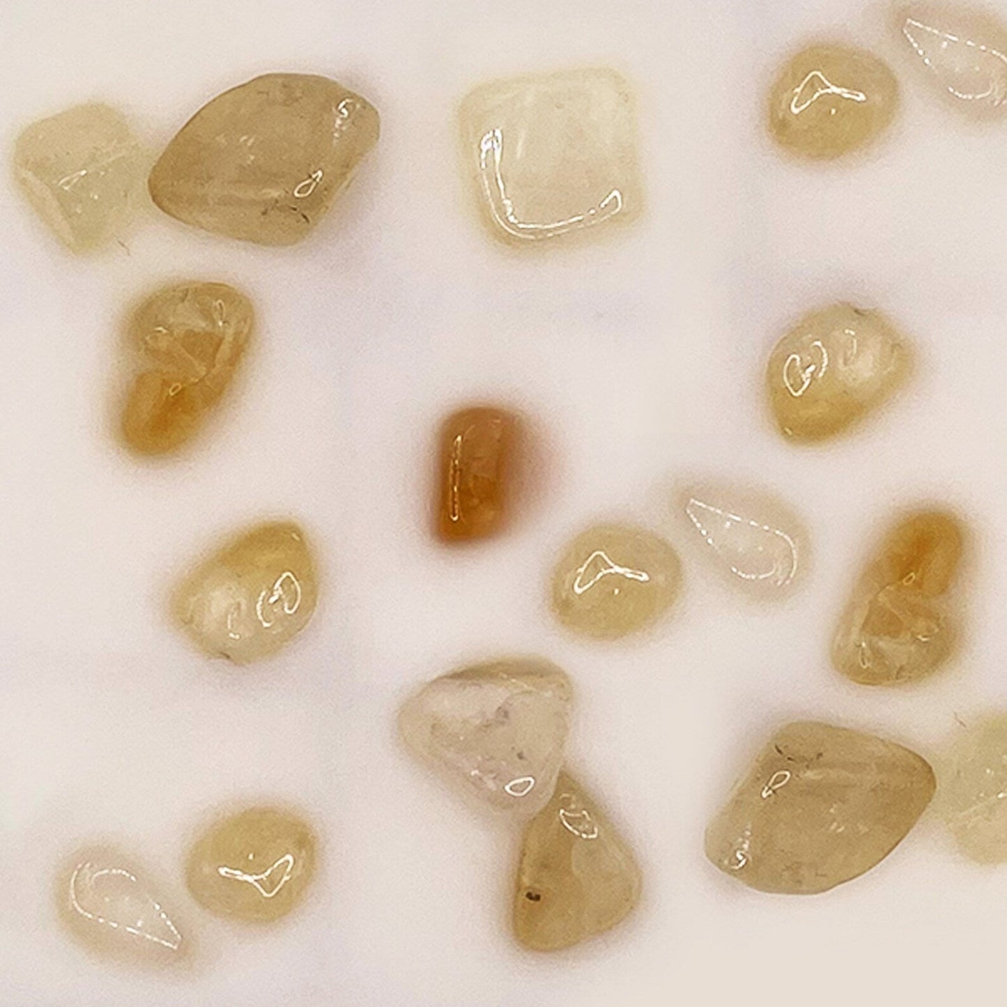 Ceras de soja y coco premium mejoradas con cristales Herbal Tranquility