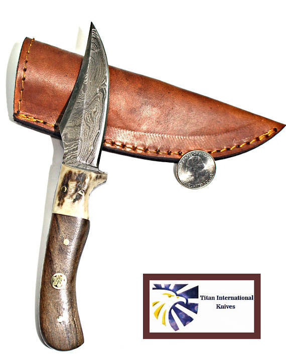 Damascus skinner knife with stag and walnut grip, Titan Td-340, leather sheath on Tampa Home & Garden Store