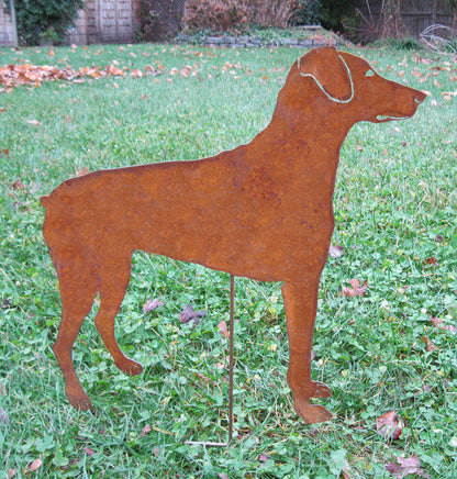 Doberman Pinscher garden stake Rustica Ornamentals rusted metal lawn ornament style 2 on Tampa Home & Garden Store
