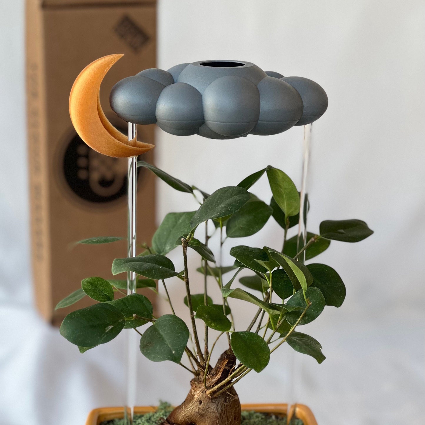 Stormy Dripping Rain Cloud with Moon Charm