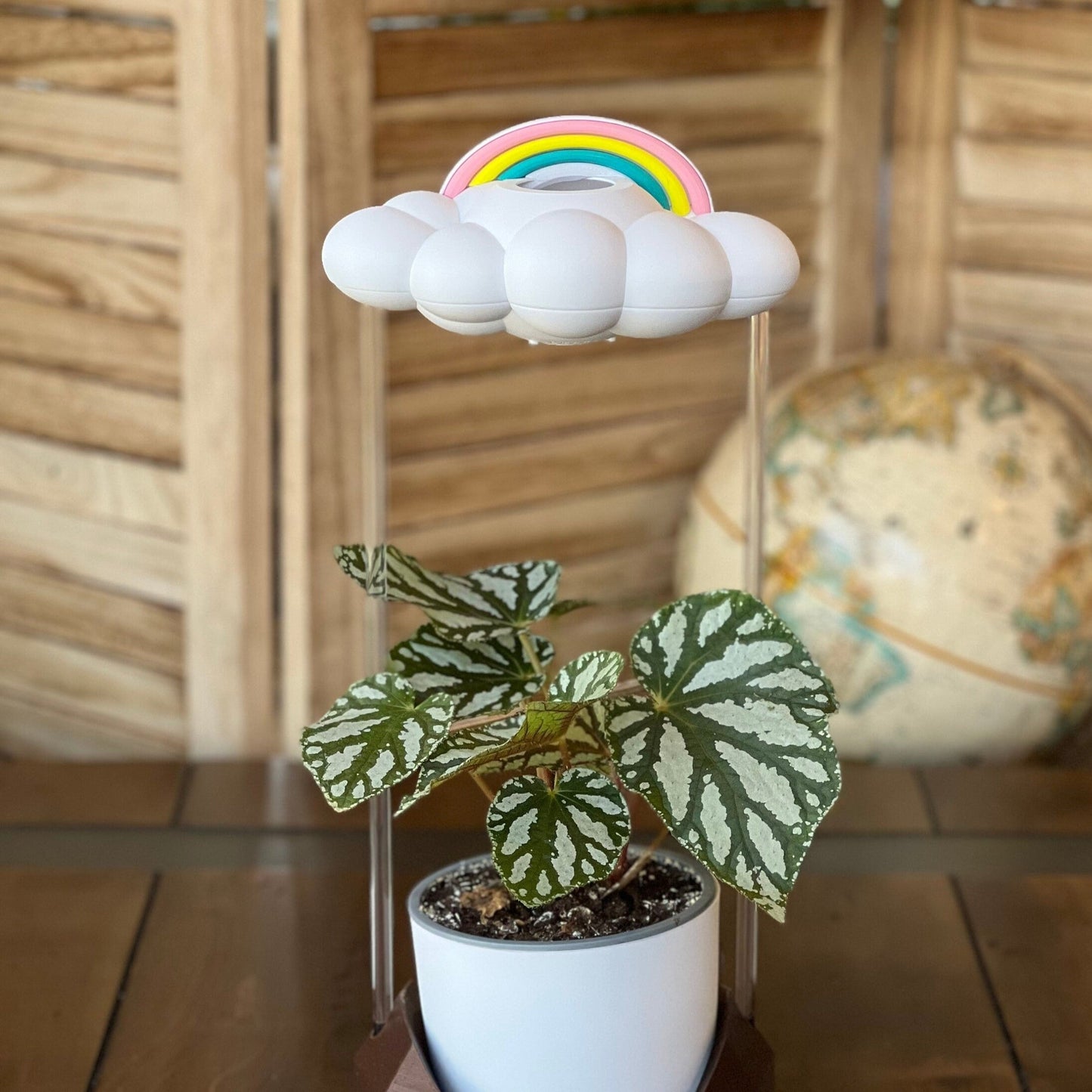 Original Nube Goteante de Lluvia con Encanto de Arcoíris Pastel
