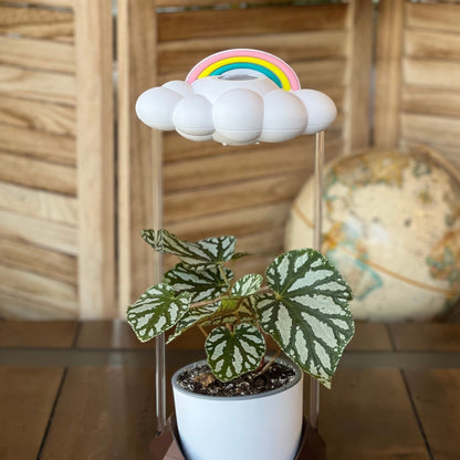 Original Nube Goteante de Lluvia con Encanto de Arcoíris Pastel