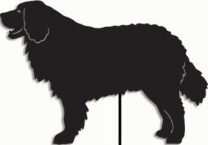 Bernese Mountain Dog garden stake silhouette in black metal by Rustica Ornamentals lawn ornament on Tampa Home & Garden Store