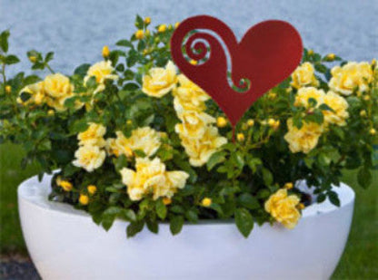 Heart plant stake red metal ornament among yellow roses in a white planter on Tampa Home & Garden Store