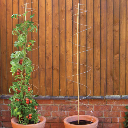 Twisters Extendable Plant Supports set of 3 with spiral wire stakes aiding tomato vines in pots on Tampa Home & Garden Store