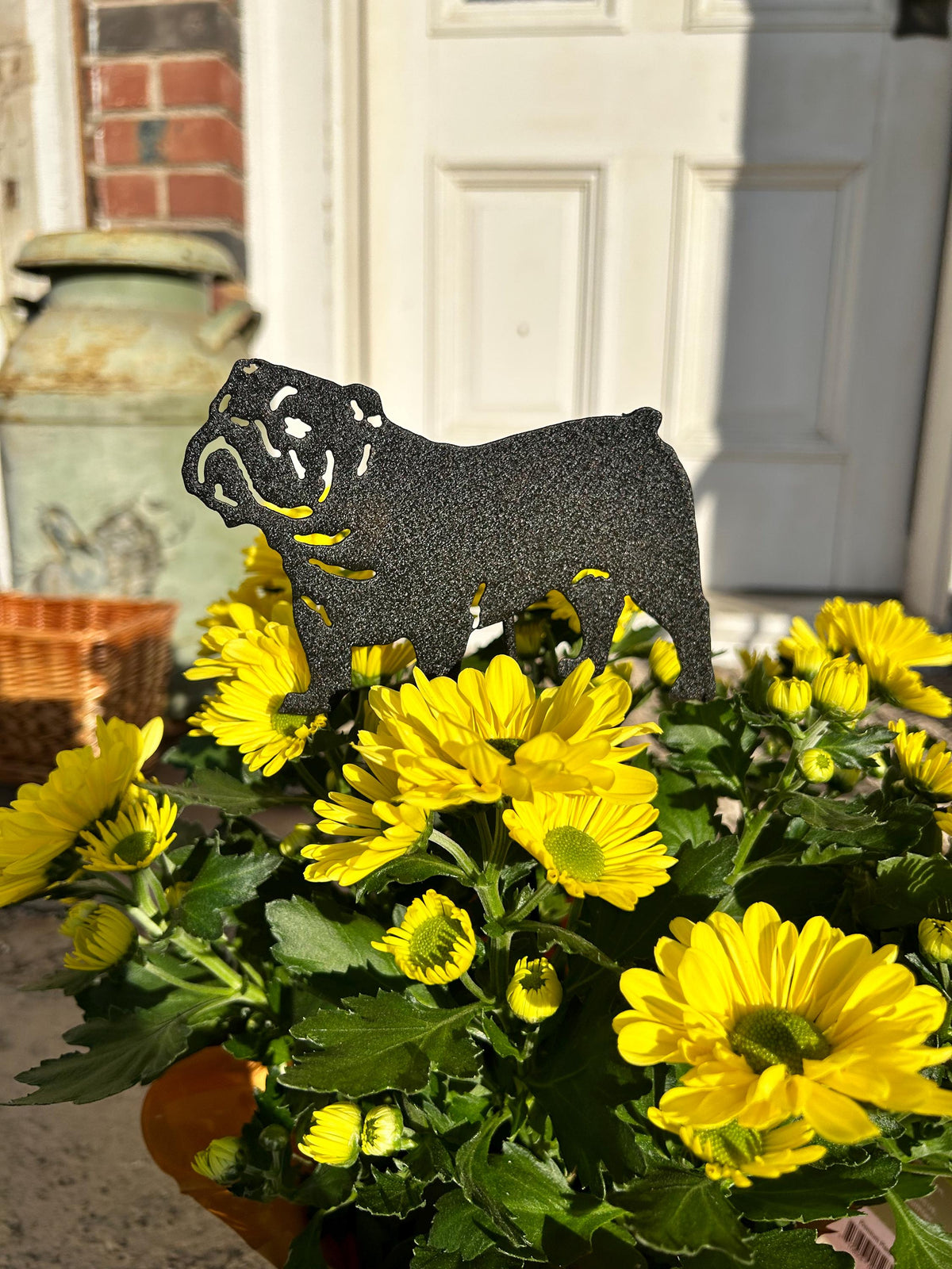 Bulldog ornament plant stake, black metal silhouette with Rustica Ornamentals, yellow mums on Tampa Home & Garden Store