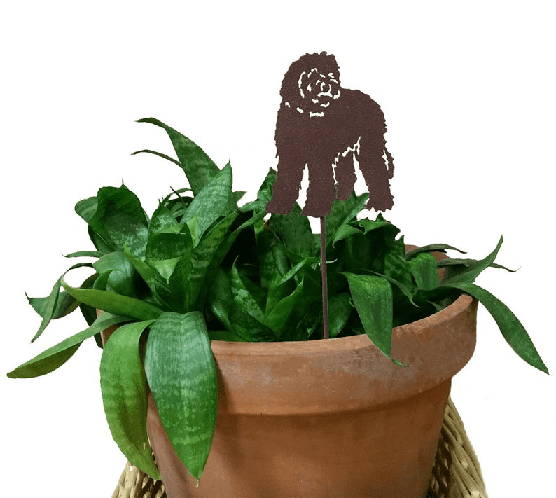 Labradoodle plant stake by Rustica Ornamentals, brown silhouette on metal stake in pot on Tampa Home & Garden Store