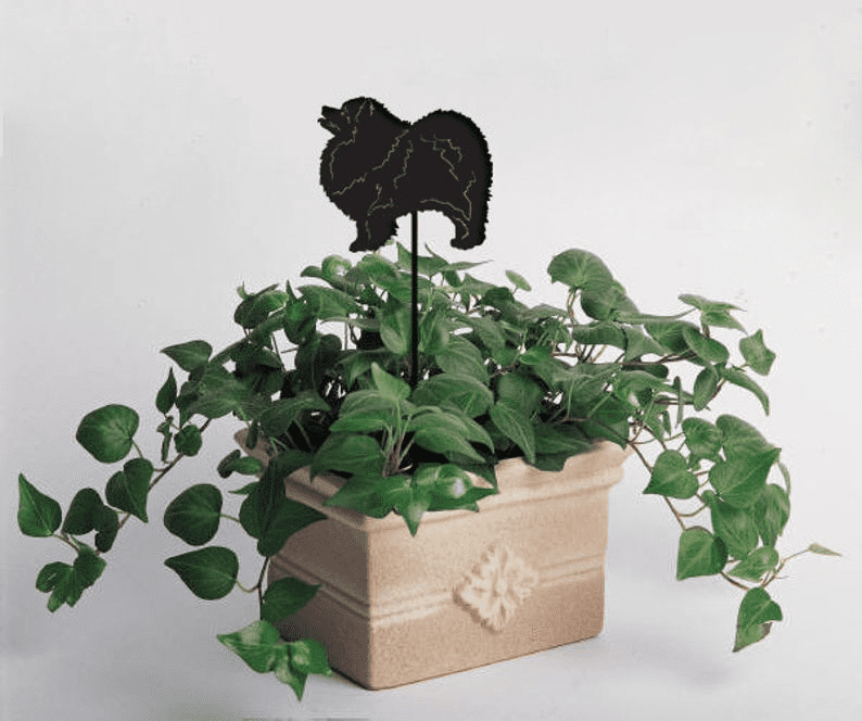 Keeshond plant stake by Rustica Ornamentals atop a beige planter with trailing pothos on Tampa Home & Garden Store