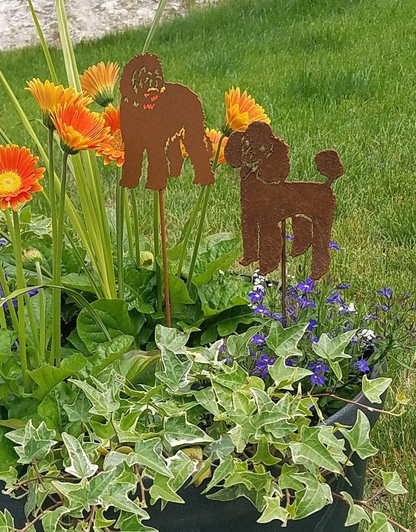 Labradoodle plant stakes by Rustica Ornamentals in a planter with orange gerbera daisies on Tampa Home & Garden Store