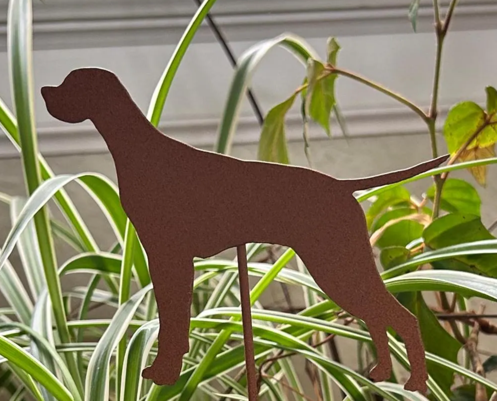 Vizsla garden stake silhouette in rust finish by Rustica Ornamentals, lawn ornament on Tampa Home & Garden Store