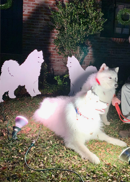 Samoyed garden stake wall art by Rustica Ornamentals; white silhouettes with two Samoyed dogs on Tampa Home & Garden Store