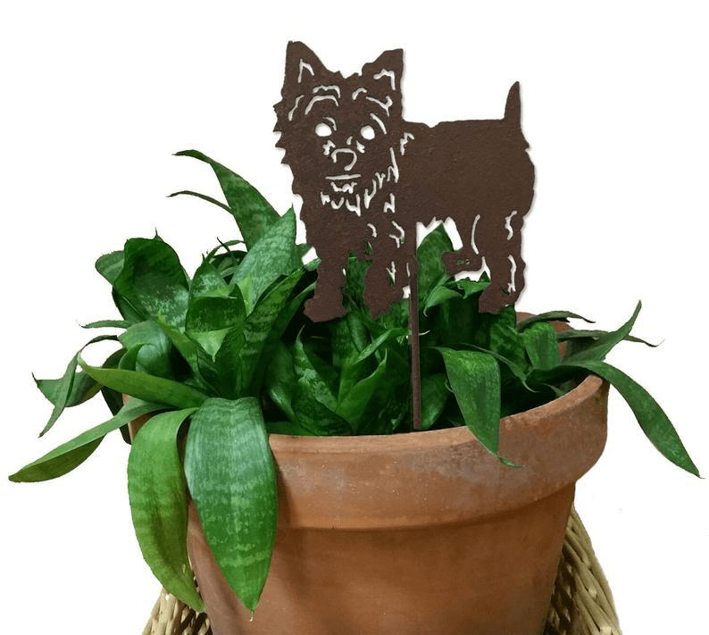 Yorkshire Terrier Plant Stake by Rustica Ornamentals, brown metal silhouette in terracotta pot on Tampa Home & Garden Store