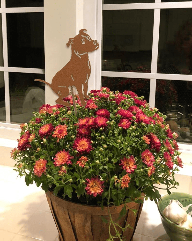 Pit Bull Plant Stake Rustica, rusty metal dog silhouette atop a barrel planter with mums on Tampa Home & Garden Store