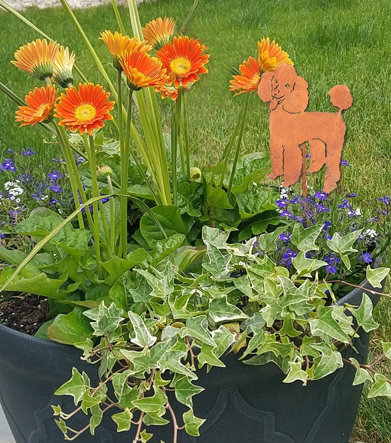 Poodle plant stake, rust silhouette, Rustica Ornamentals, in a planter with orange daisies, on Tampa Home & Garden Store