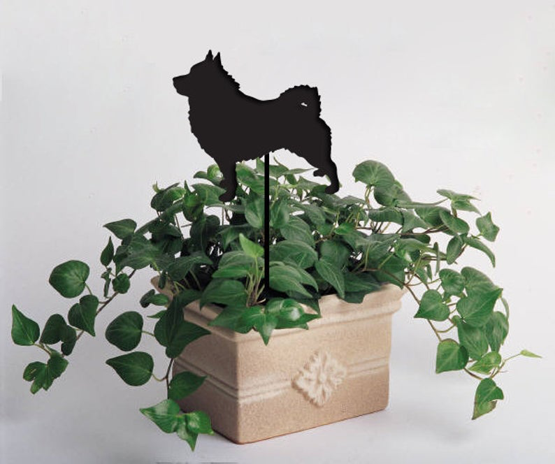 Schipperke plant stake with black metal silhouette, Rustica Ornamentals decor on Tampa Home & Garden Store