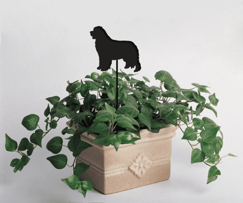 Newfoundland Plant Stake in black atop green pothos in beige planter by Rustica Ornamentals on Tampa Home & Garden Store