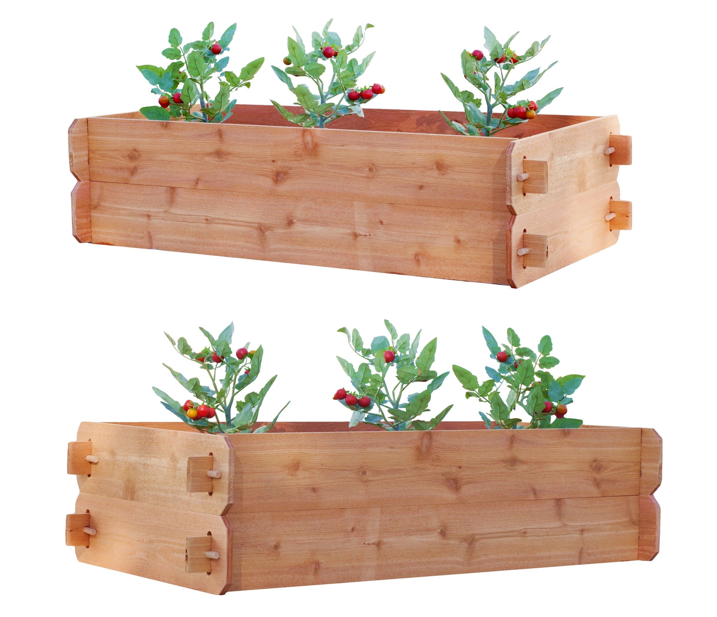 Timberlane Gardens raised bed kit set of 2 cedar, double-deep mortise & tenon 2' W x 4' L on Tampa Home & Garden Store