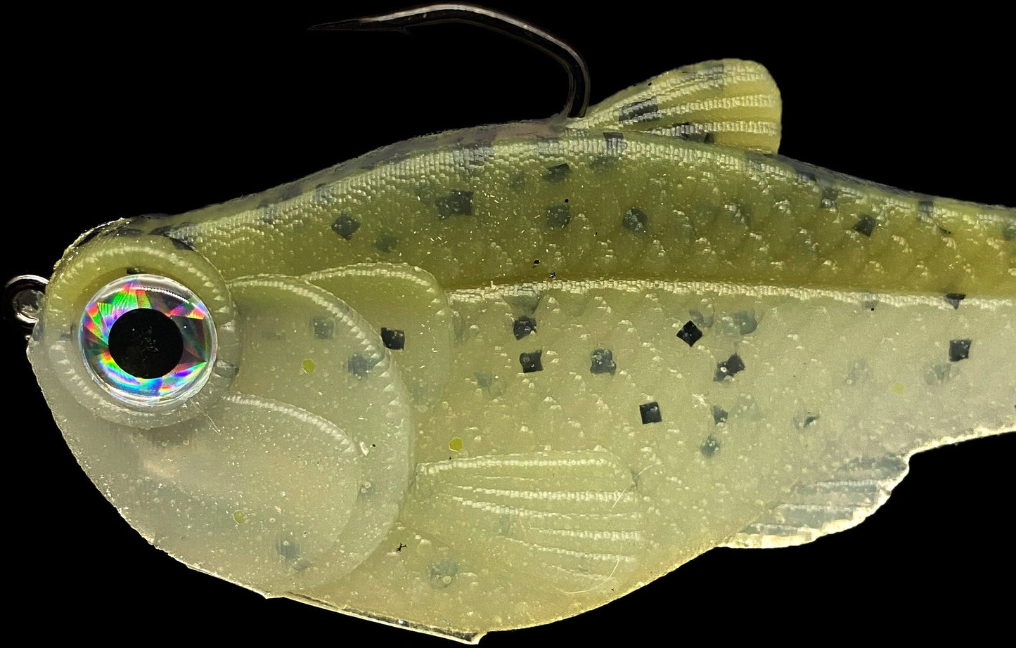 4.5in Nacho boot-tail soft swimbait olive with black specks and detailed head on Tampa Home & Garden Store
