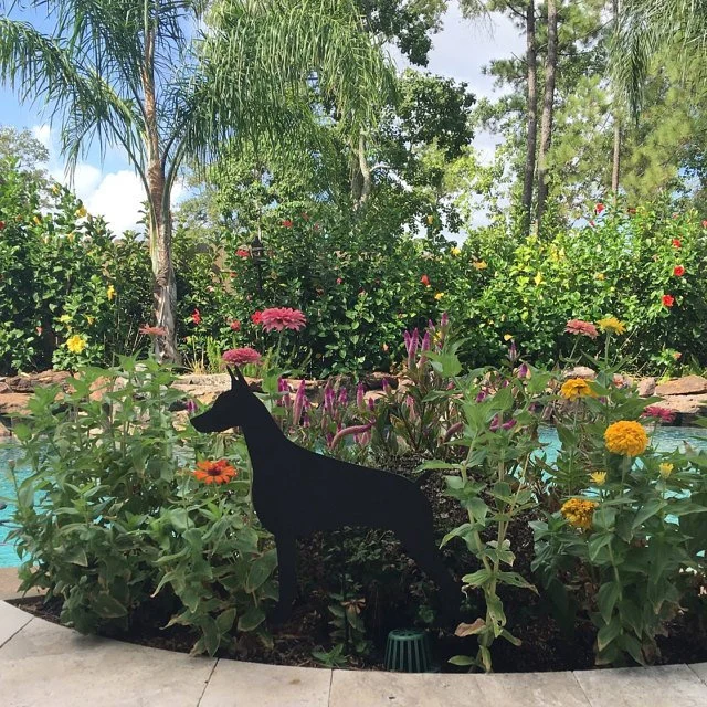 Doberman Pinscher garden stake among flowers, Rustica Ornamentals Style1 lawn ornament on Tampa Home & Garden Store