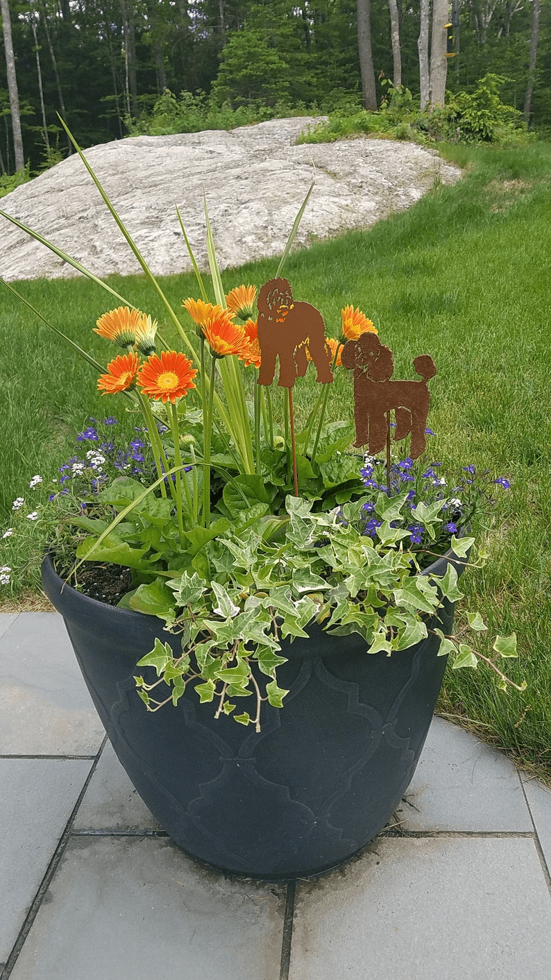 2 Labradoodle plant stakes rust metal silhouettes in a blue planter with orange flowers and ivy on Tampa Home & Garden Store