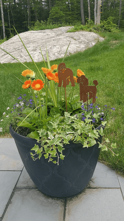 2 Labradoodle plant stakes rust metal silhouettes in a blue planter with orange flowers and ivy on Tampa Home & Garden Store