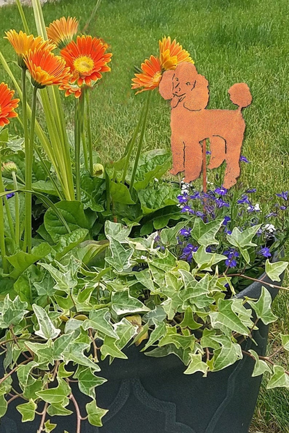 Rust-colored metal poodle garden stake amid orange flowers and ivy on Tampa Home & Garden Store