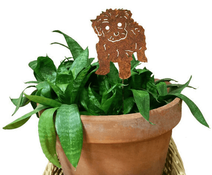 Tea Cup Poodle Plant Stake rusty metal silhouette in a terracotta pot with green leaves on Tampa Home & Garden Store