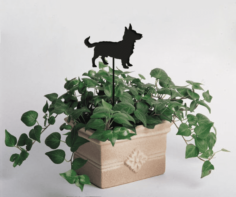 Lancashire Heeler Plant Stake atop pothos in a beige planter by Rustica Ornamentals on Tampa Home & Garden Store