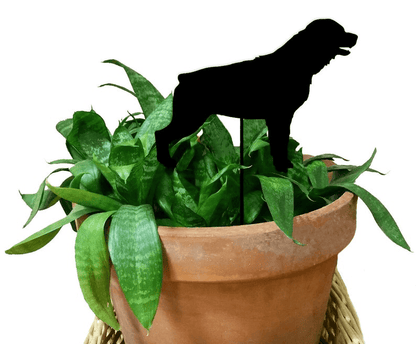 Rottweiler Plant Stake style 2 black metal dog silhouette in terracotta pot Rustica Ornamentals on Tampa Home & Garden Store