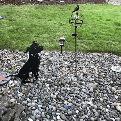 Pit Bull garden statue; black metal terrier sculpture on Tampa Home & Garden Store