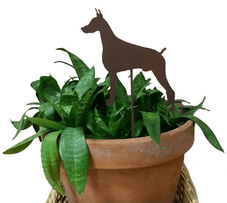 Doberman Pinscher plant stake, brown metal silhouette for garden decor Rustica Ornamentals on Tampa Home & Garden Store