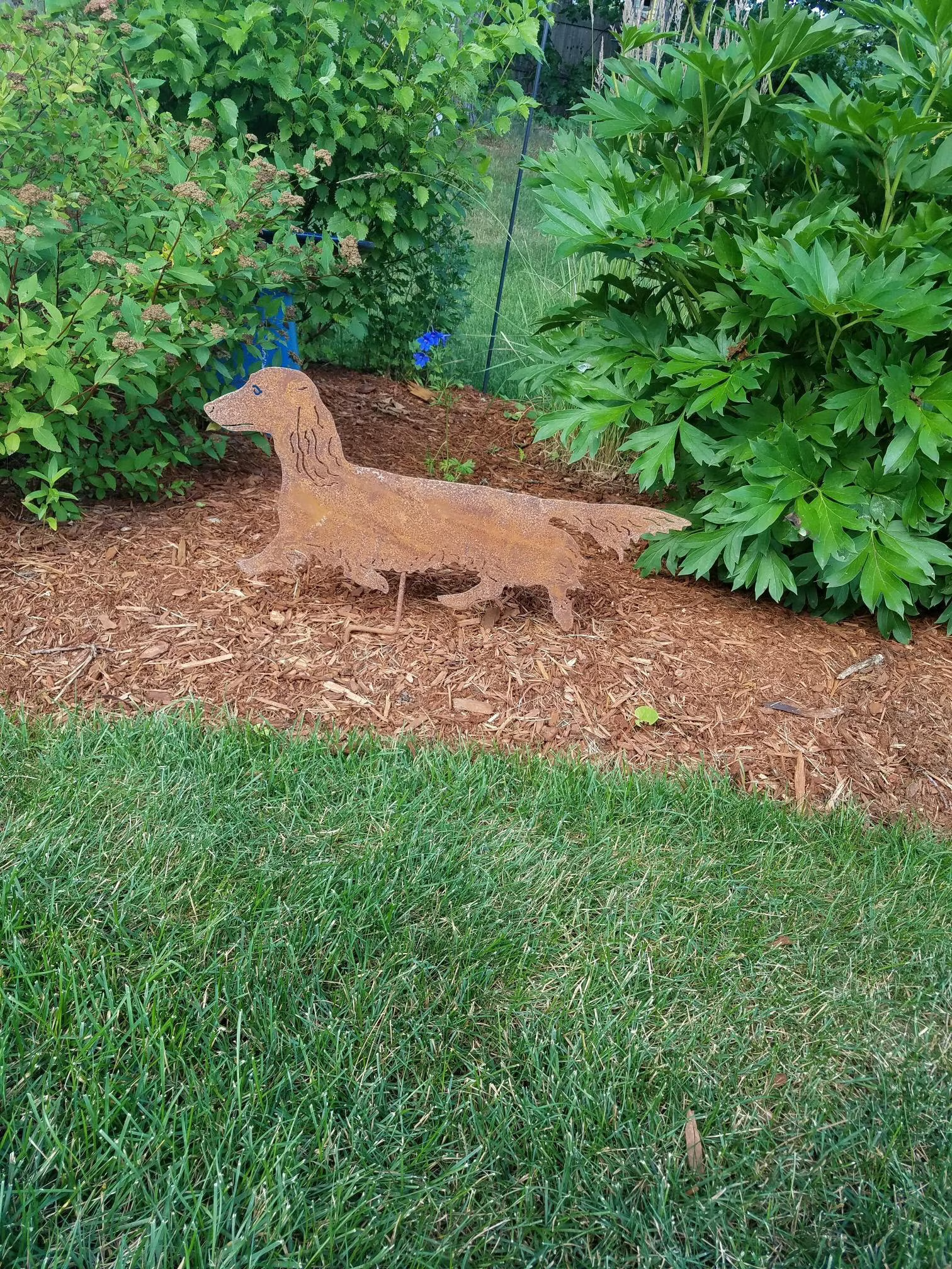 Long-haired dachshund lawn statue rusted metal Rustica Ornamentals lawn ornament on Tampa Home & Garden Store