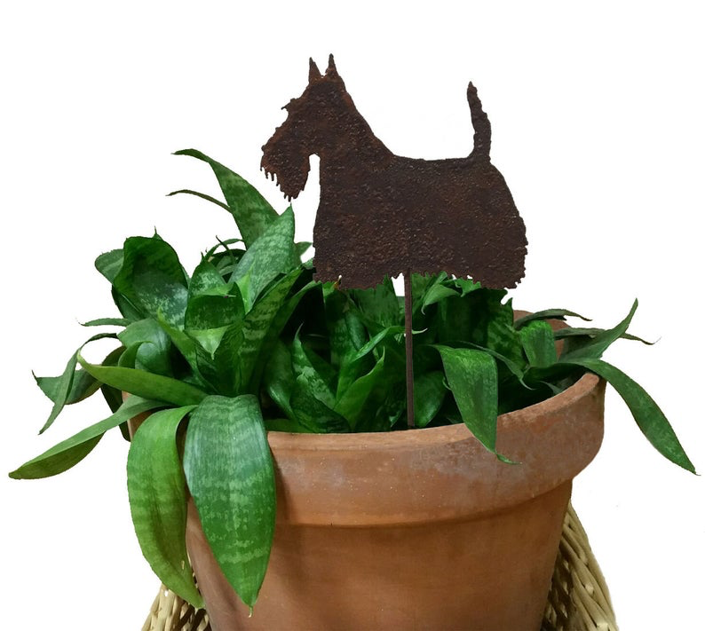 Scottish Terrier Plant Stake in brown metal over terracotta pot with green foliage on Tampa Home & Garden Store