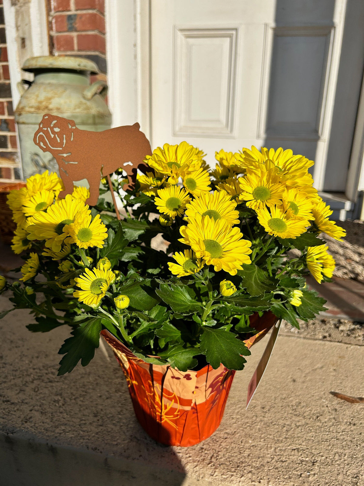 Bulldog ornament plant stake in rusted metal among bright yellow mums in a decorative pot on Tampa Home & Garden Store