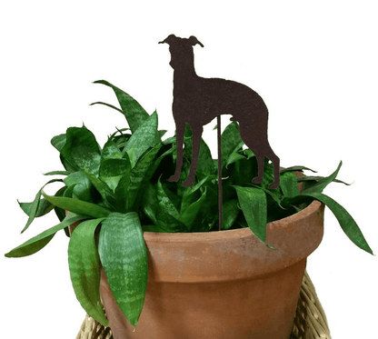 Italian Greyhound Plant Stake by Rustica Ornamentals; rust dog silhouette on stake in pot on Tampa Home & Garden Store