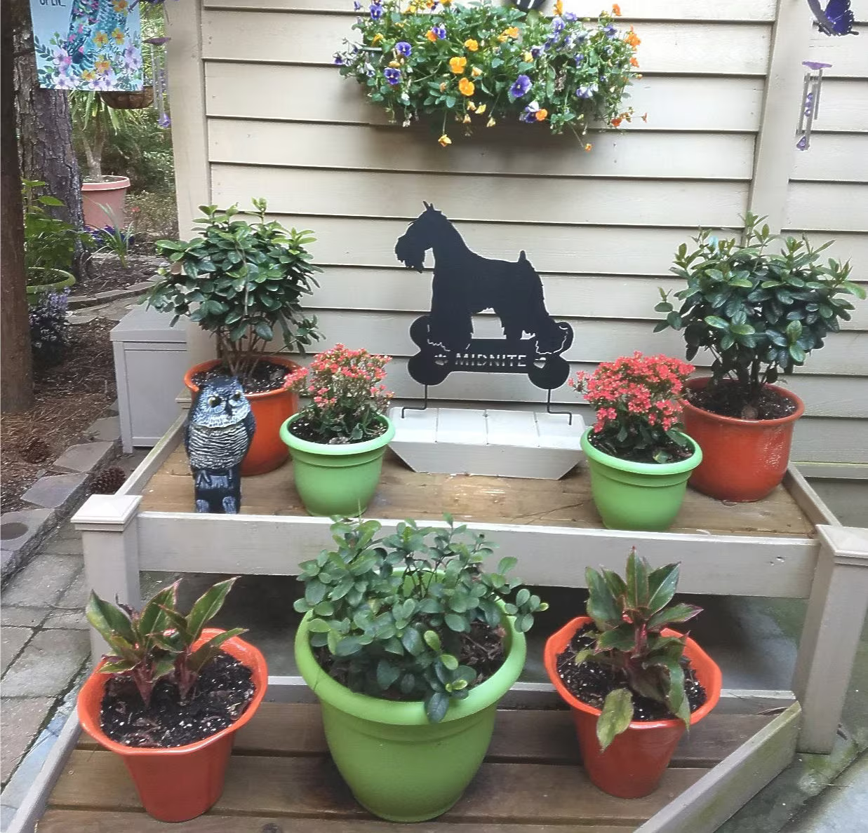 Miniature Schnauzer garden stake by Rustica Ornamentals, metal terrier lawn art among bright pots on Tampa Home & Garden Store