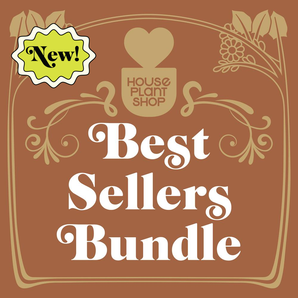 Best Selling Bundle by Rooted Treasures Farms; House Plant Shop logo and New badge on Tampa Home & Garden Store