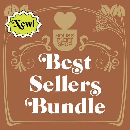 Best Selling Bundle by Rooted Treasures Farms; House Plant Shop logo and New badge on Tampa Home & Garden Store