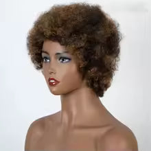 Short Afro Curly Human Hair Wig Stevvex brown Remy Afro wig 150% density on mannequin on Tampa Home & Garden Store